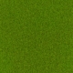 Spring Green-Pantone 363C